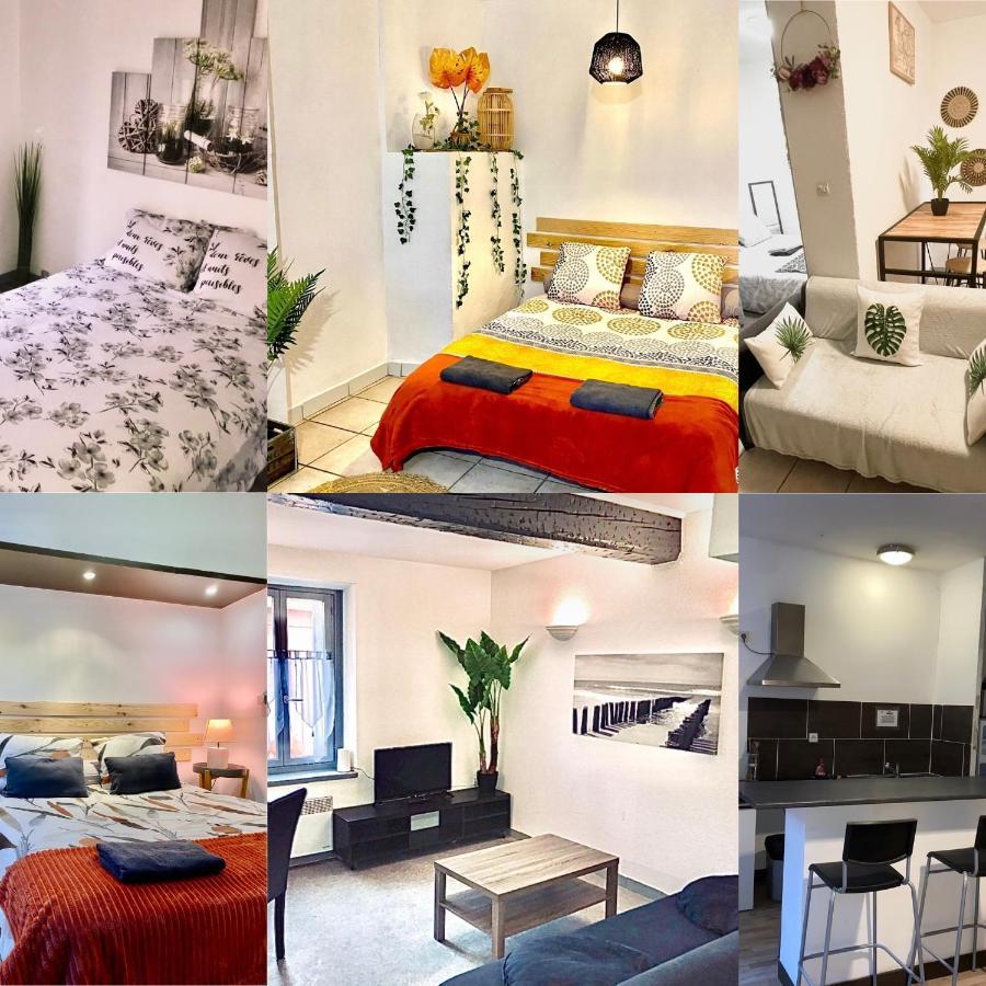 Appartements 24H 7J Carcassonne Eksteriør billede